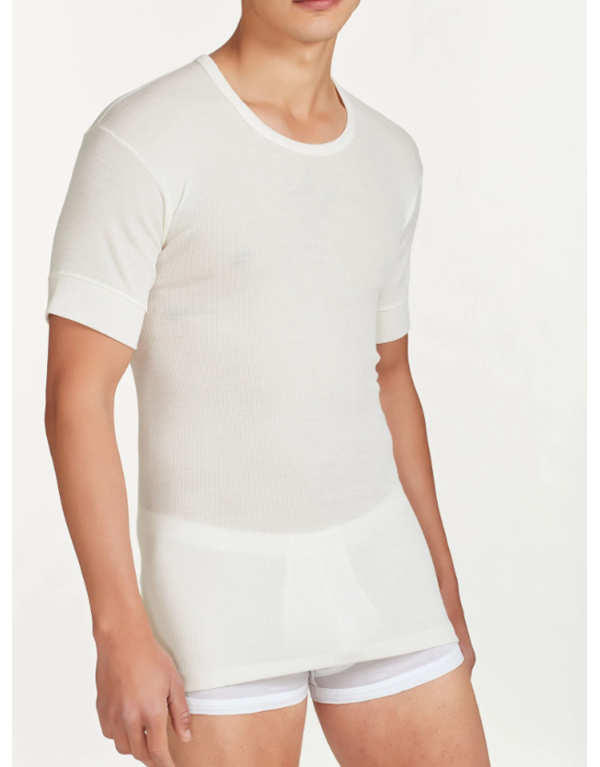 M/M 100 MERINO Ragno 004157