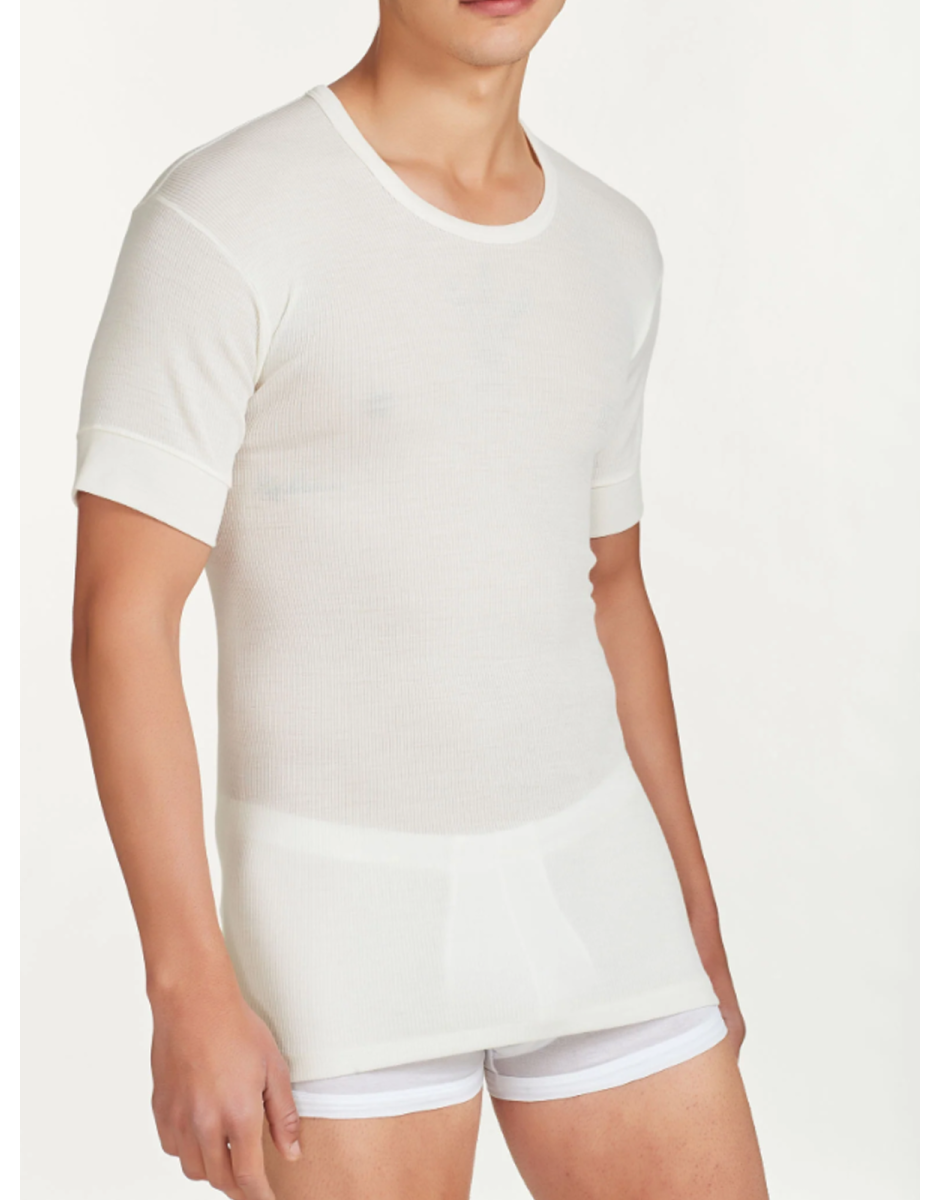 M/M 100 MERINO Ragno 004157
