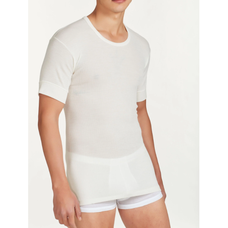 M/M 100 MERINO Ragno 004157