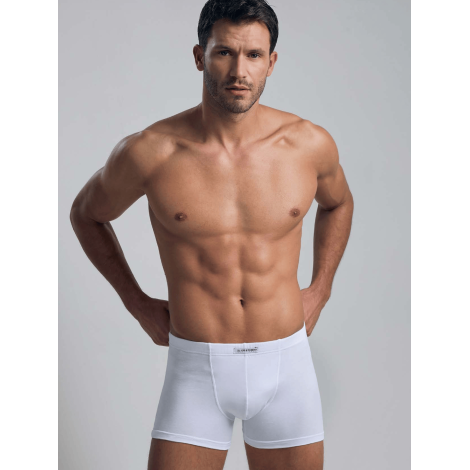 Boxer GB102 Il Granchio